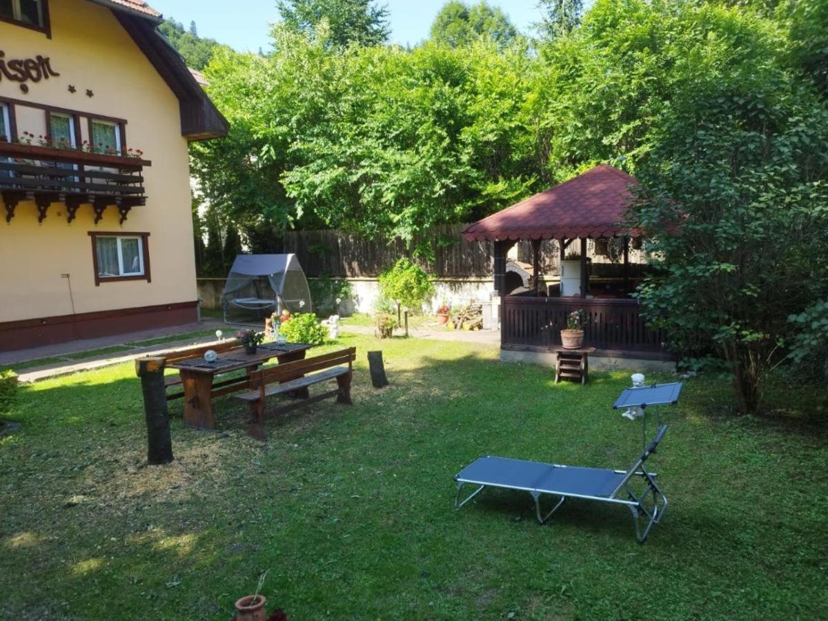 Villa Foisor بوستين المظهر الخارجي الصورة